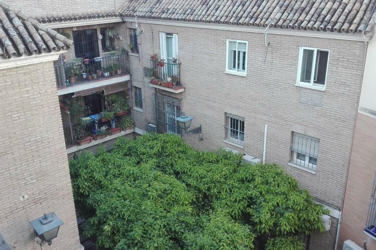 Alfalfa Home Севілья Екстер'єр фото